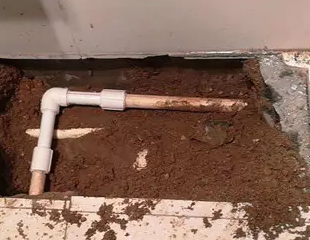 文登测漏水哪家好