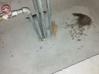 文登卫生间测漏水价格明细