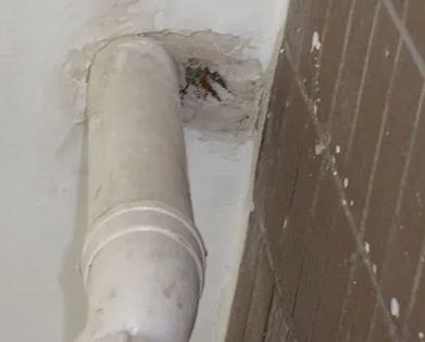 文登漏水检测哪家好